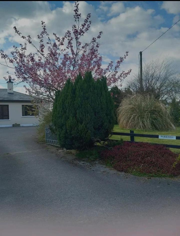 Parkhill House Self Catering *